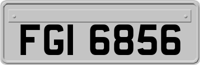 FGI6856