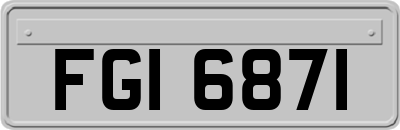 FGI6871