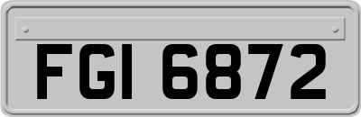 FGI6872