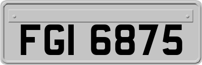 FGI6875