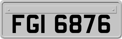 FGI6876