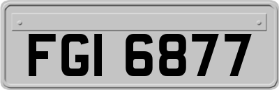 FGI6877