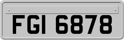 FGI6878