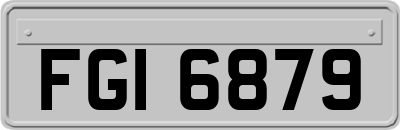 FGI6879
