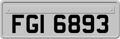 FGI6893