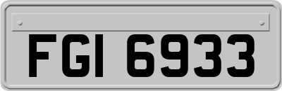 FGI6933