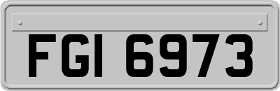 FGI6973