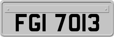 FGI7013
