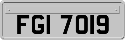 FGI7019