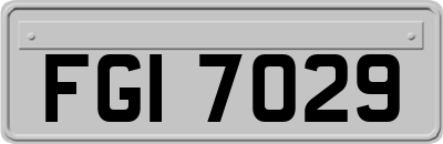 FGI7029