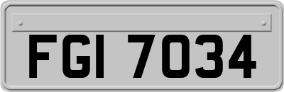 FGI7034