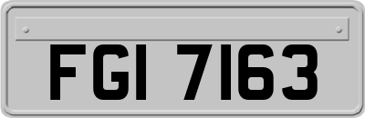 FGI7163