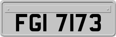 FGI7173