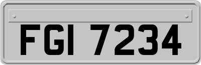 FGI7234