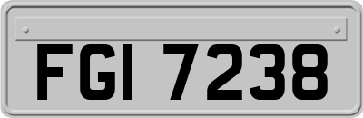 FGI7238