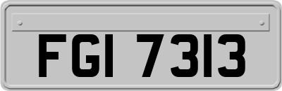 FGI7313