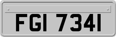 FGI7341
