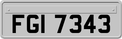FGI7343