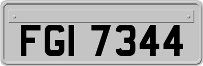 FGI7344