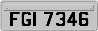 FGI7346