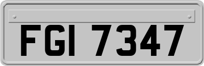 FGI7347
