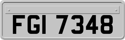 FGI7348