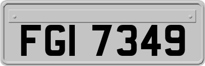 FGI7349