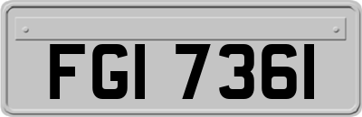 FGI7361