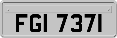 FGI7371