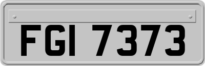 FGI7373
