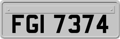 FGI7374