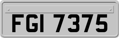 FGI7375