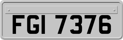 FGI7376