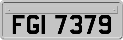 FGI7379