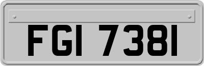 FGI7381