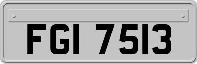 FGI7513