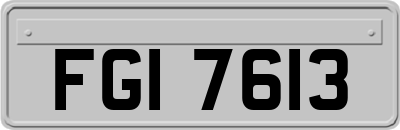 FGI7613