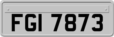 FGI7873