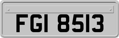 FGI8513