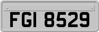 FGI8529