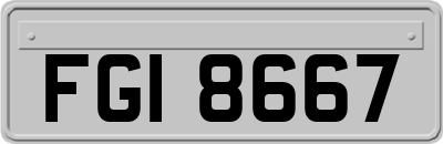 FGI8667