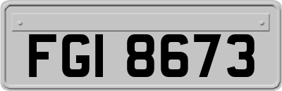 FGI8673