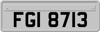 FGI8713