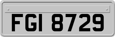 FGI8729