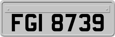 FGI8739