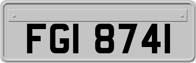 FGI8741