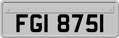 FGI8751