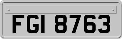 FGI8763