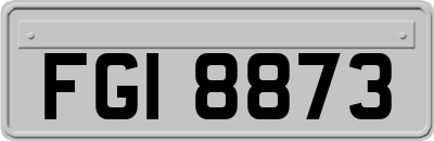 FGI8873