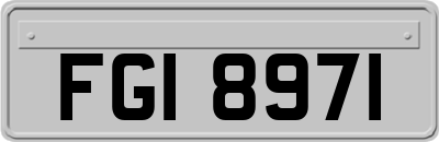 FGI8971